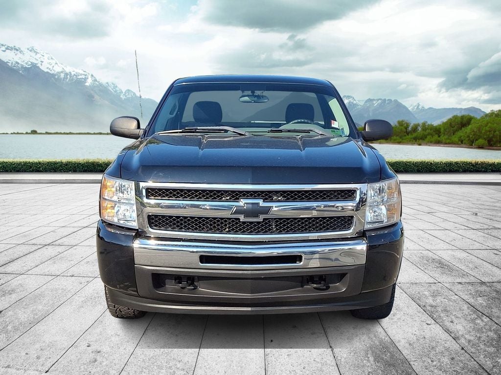 2010 Chevrolet Silverado 1500 Work Truck