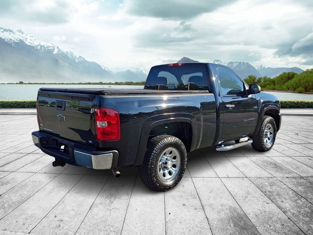 2010 Chevrolet Silverado 1500 Work Truck